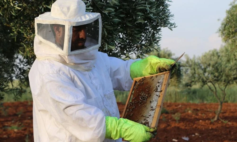 Αύριο στο Σύνταγμα και οι μελισσοκόμοι - Ξεκινούν τα ξημερώματα από Πάτρα